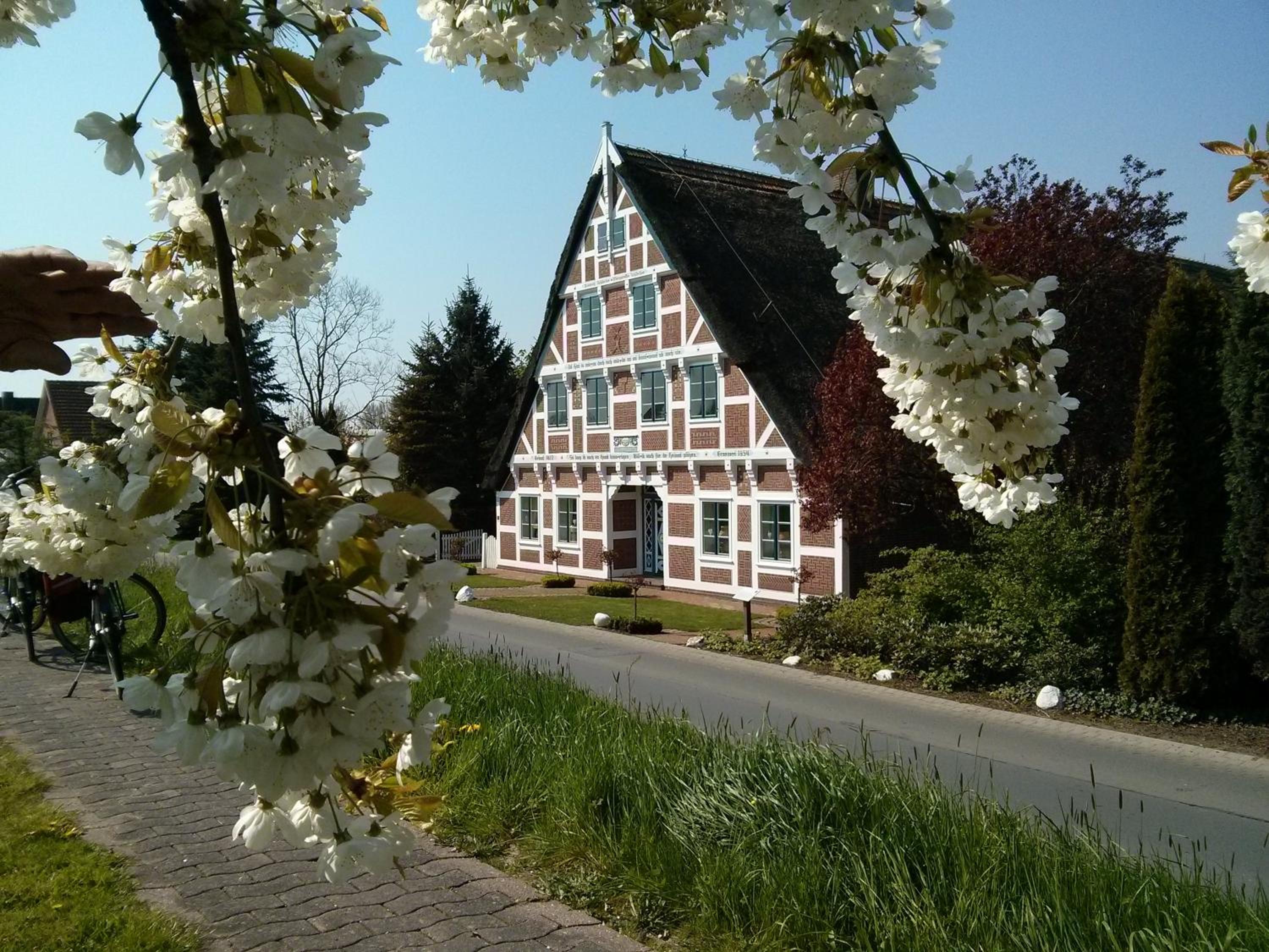 Fewo Elbblick im Haus Lühegarten