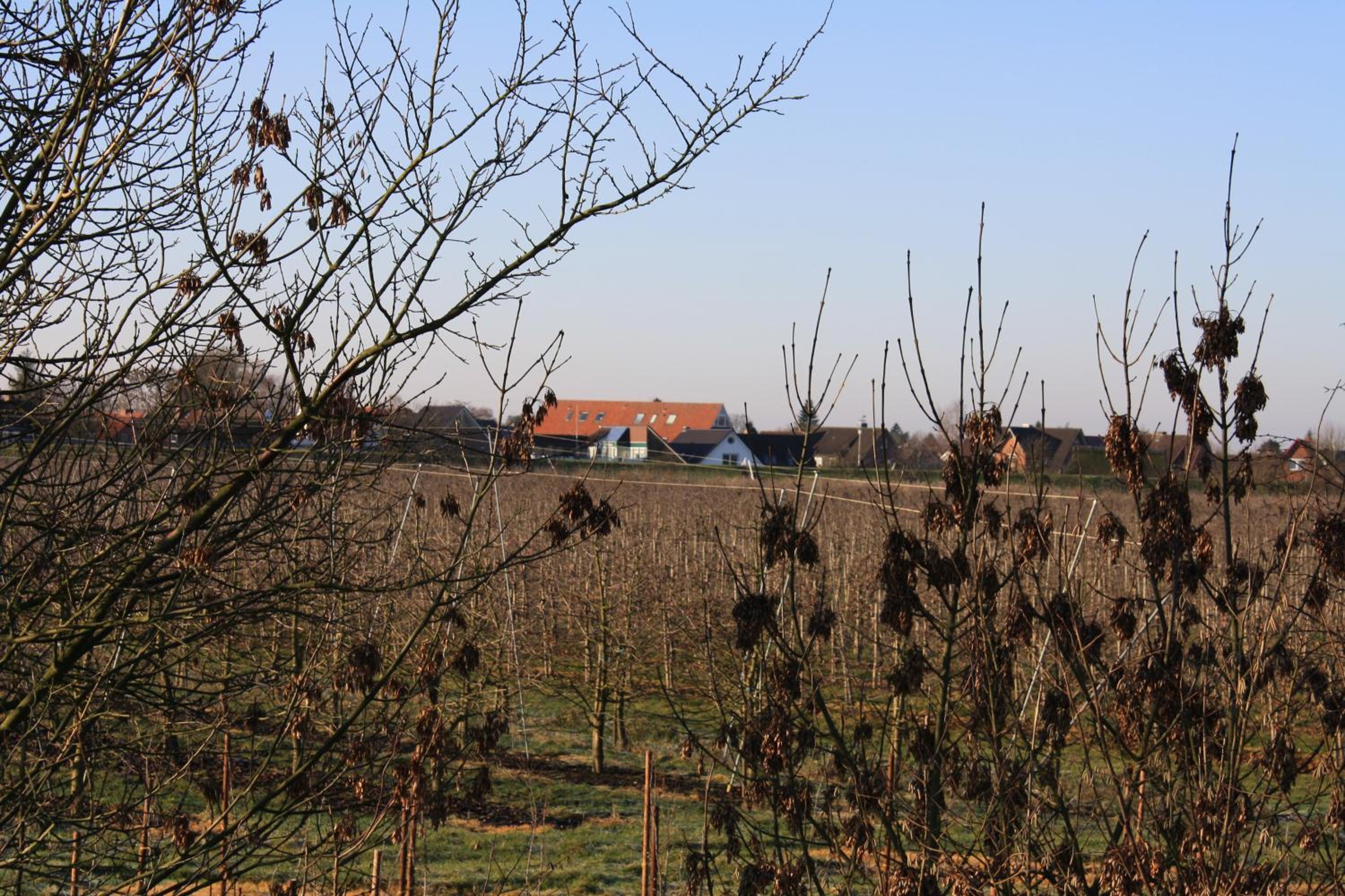 Fewo Elbblick im Haus Lühegarten