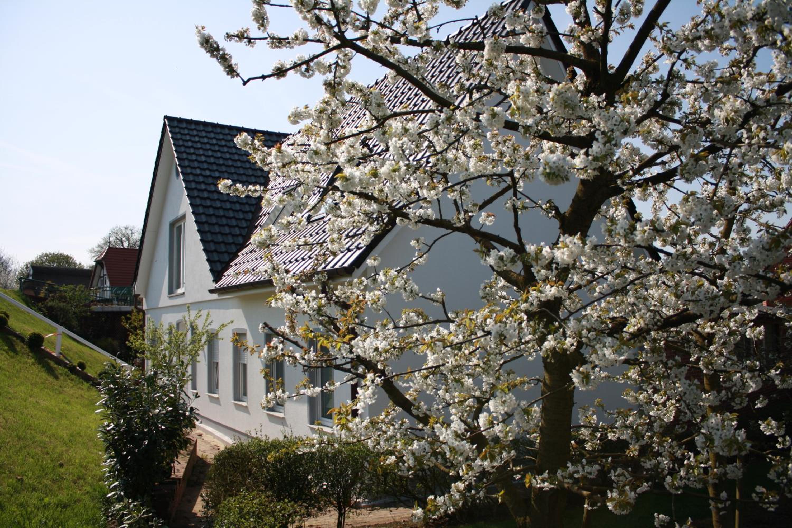 Fewo Elbblick im Haus Lühegarten