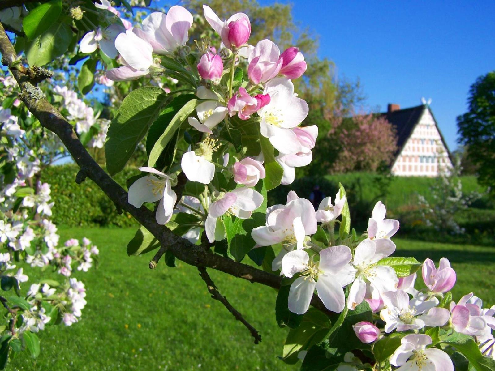 Fewo Elbblick im Haus Lühegarten