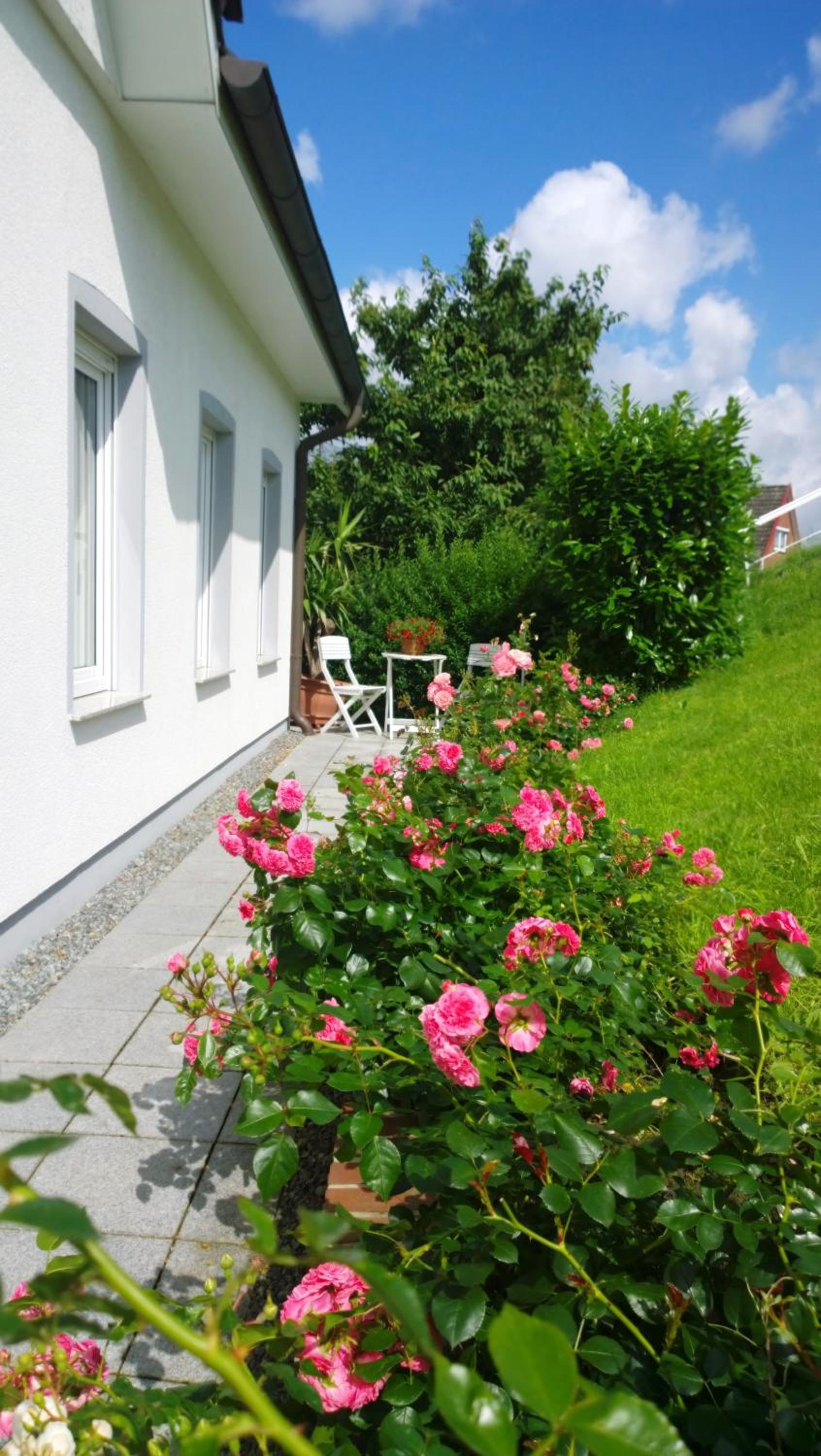 Fewo Elbblick im Haus Lühegarten