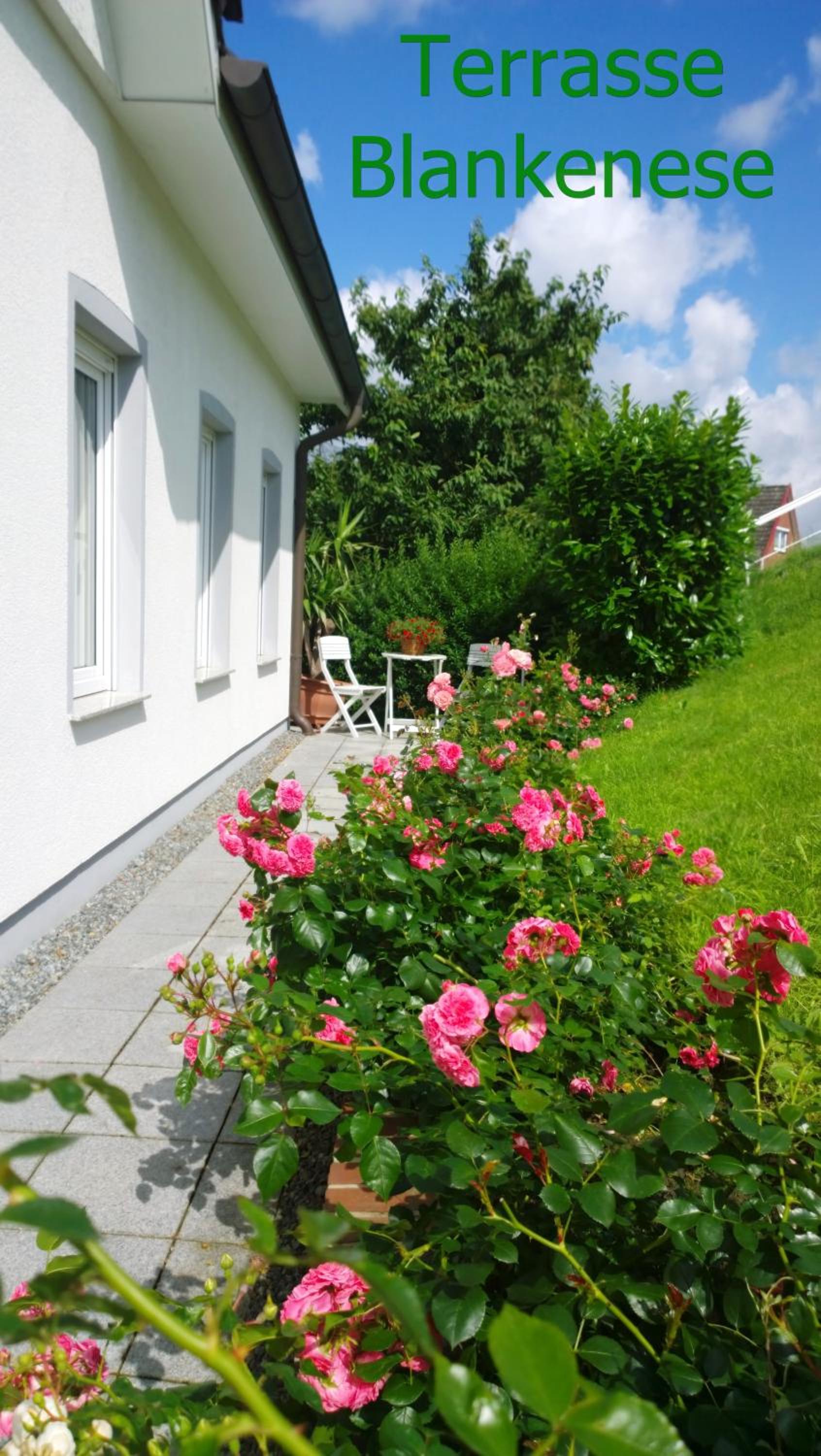 Fewo Elbblick im Haus Lühegarten