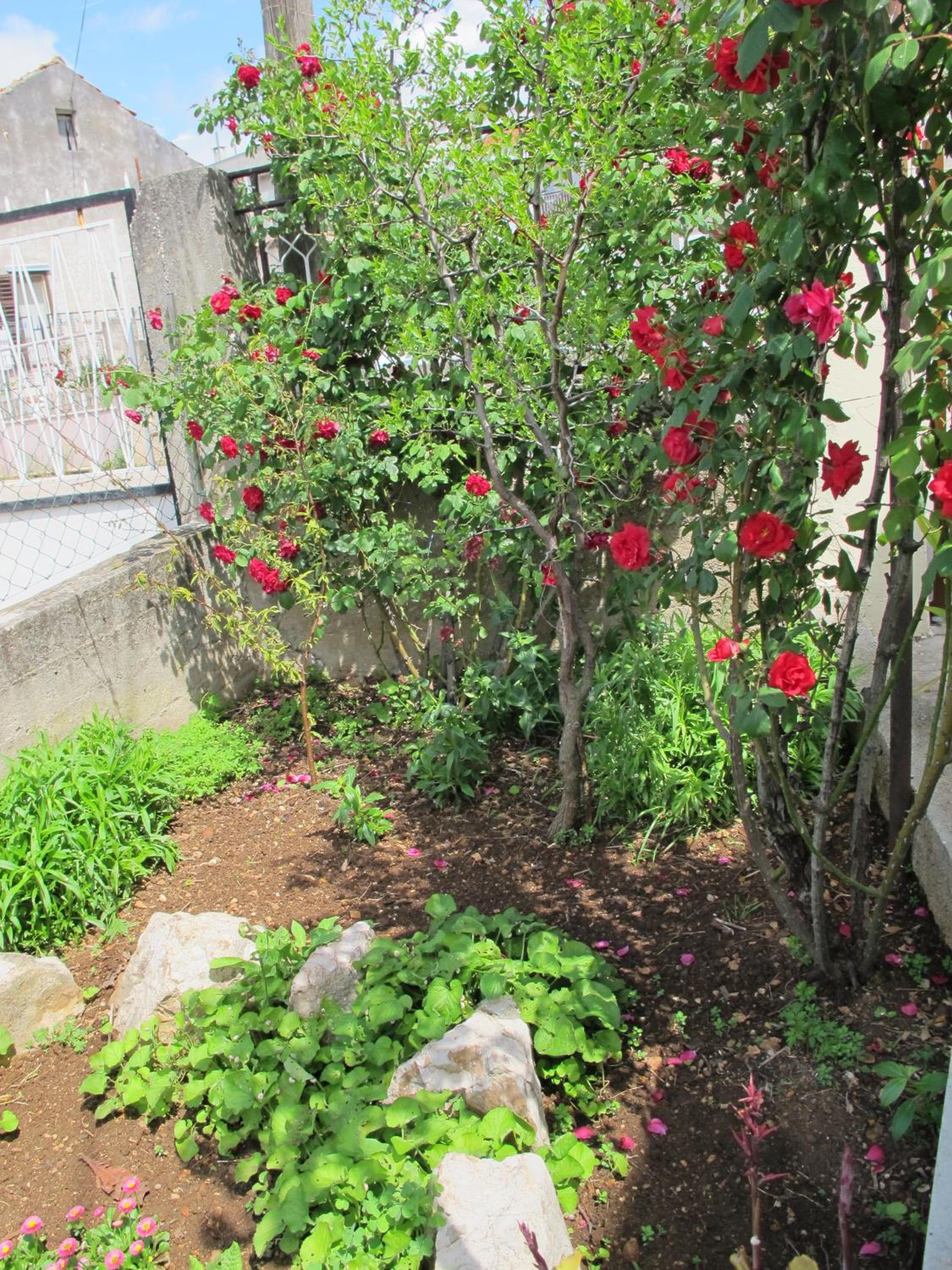 Photo 29