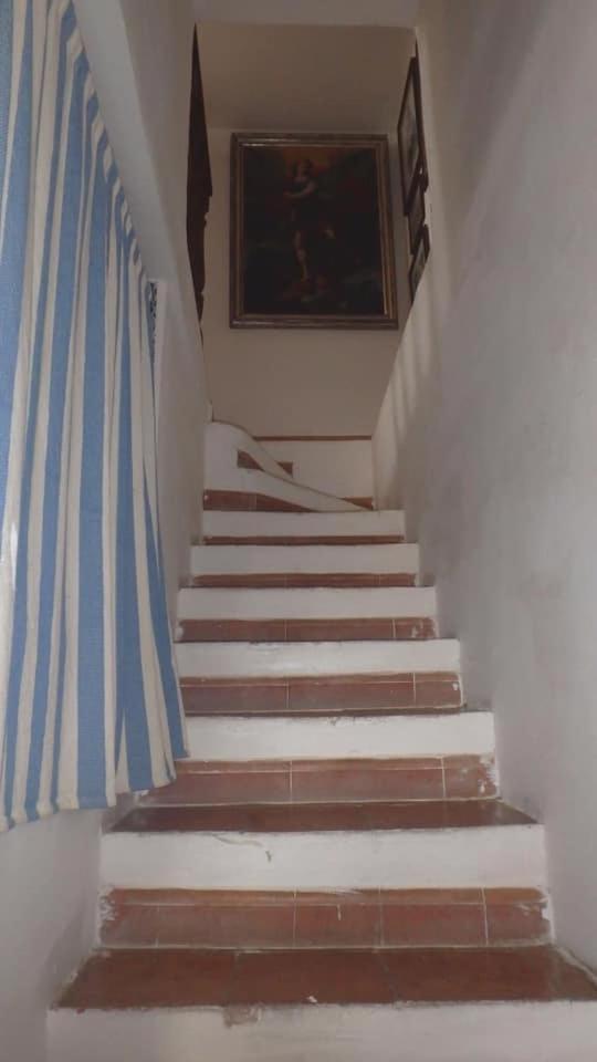 Maison Artista photo 4