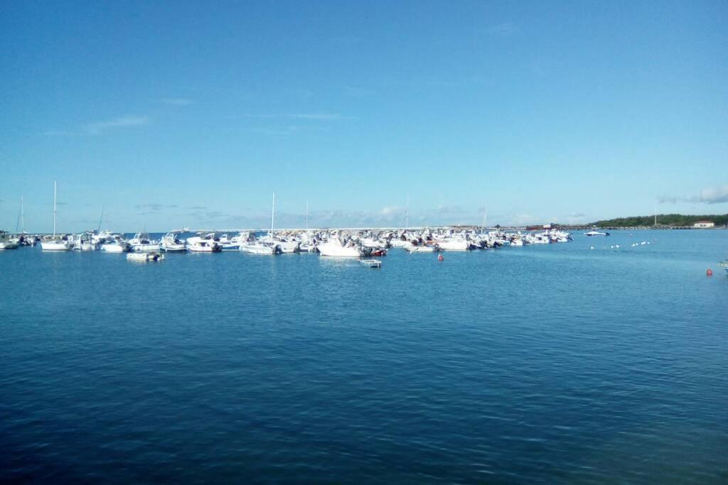 Panoramic and beautiful house 4km from the sea., photo 10