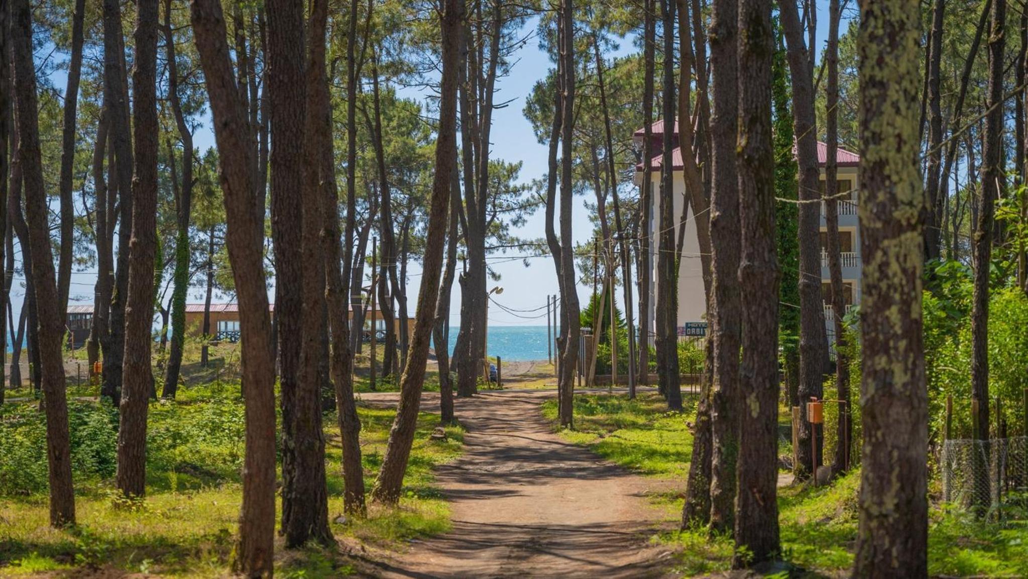 Shekvetili Big Wonder