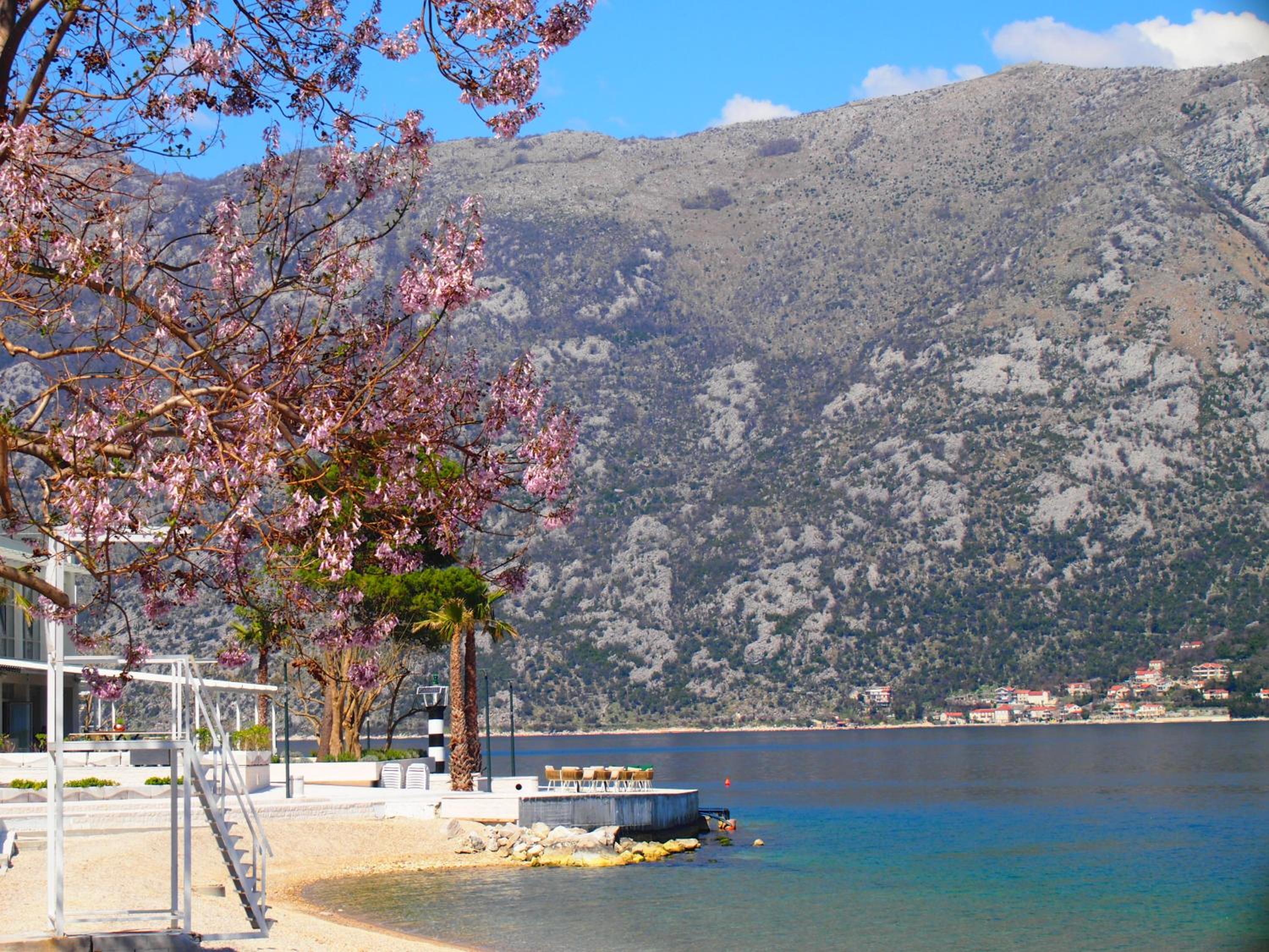 Holiday house in the Kotor Bay view 5