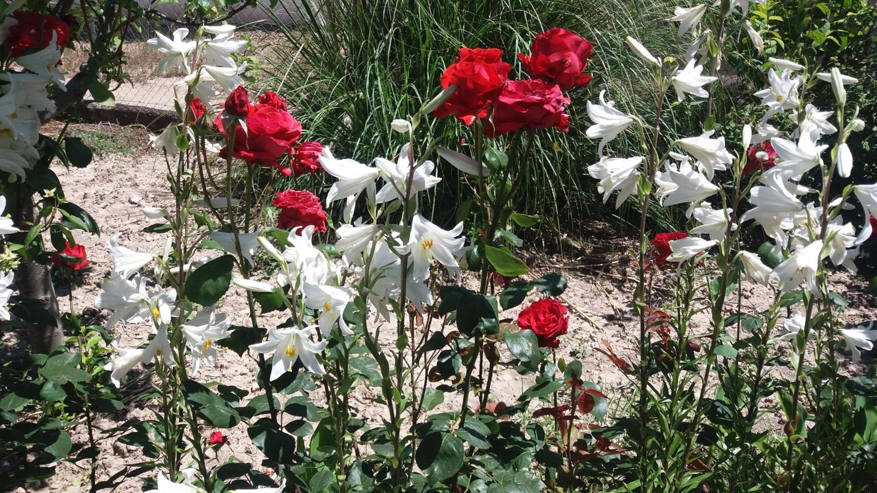 Photo 21