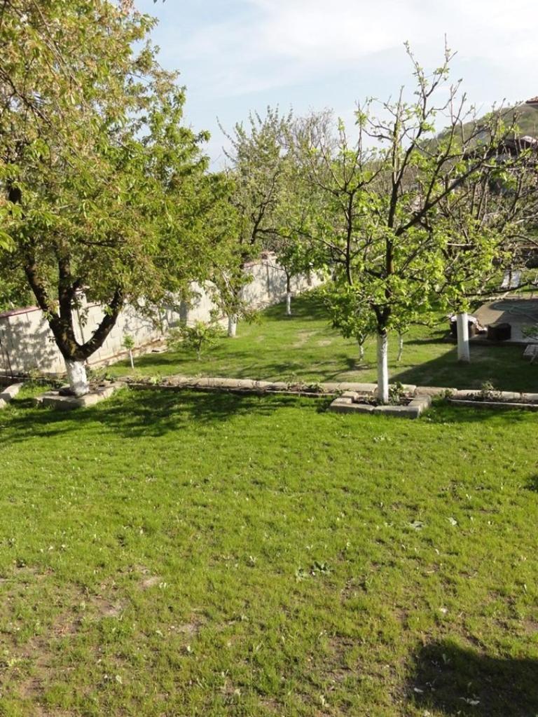 Villa Detelina Balchik