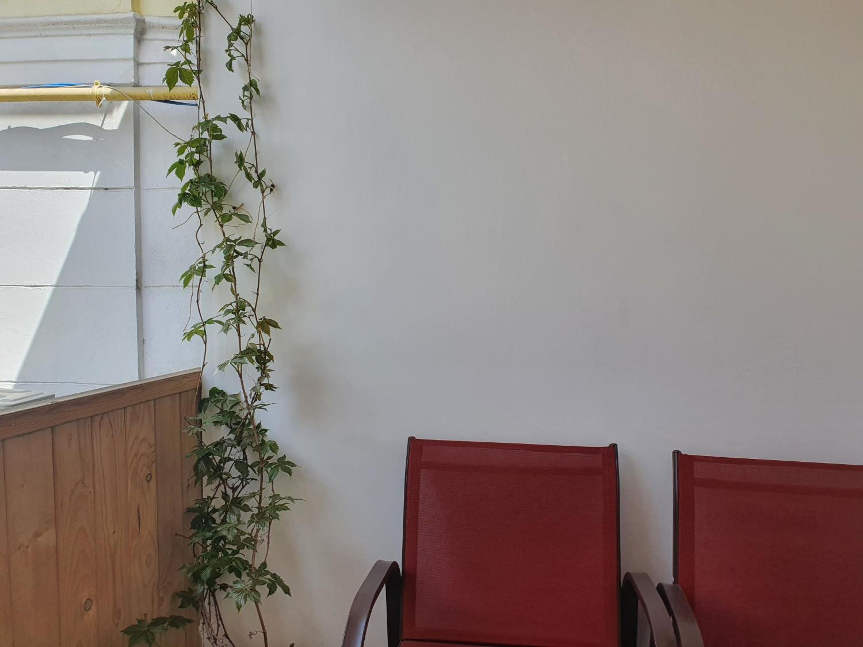 Piata Uniri Cozy Inn