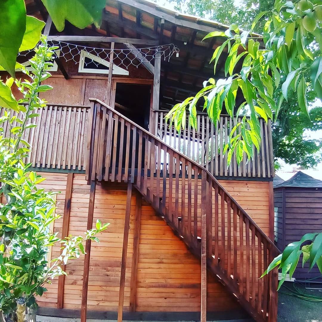 Mini House Park