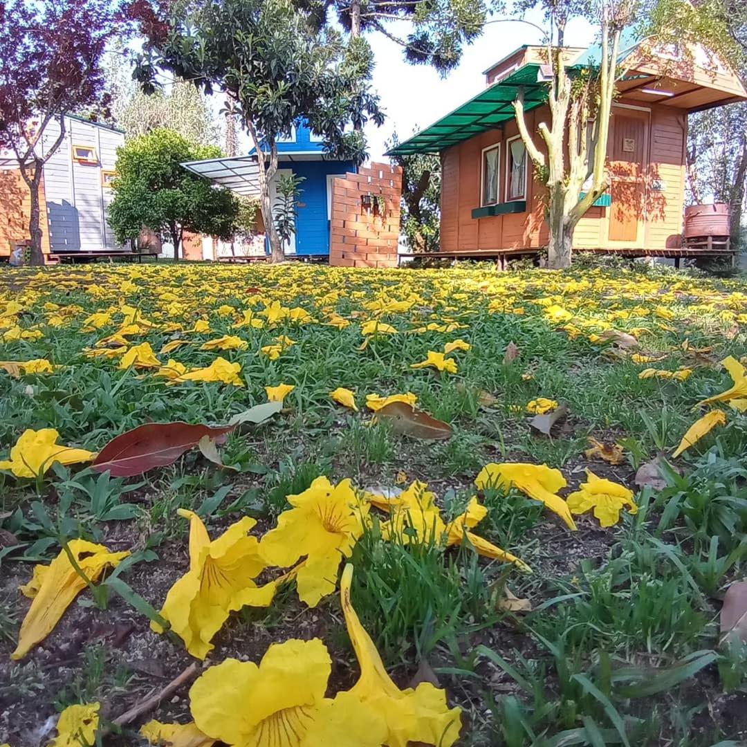 Mini House Park