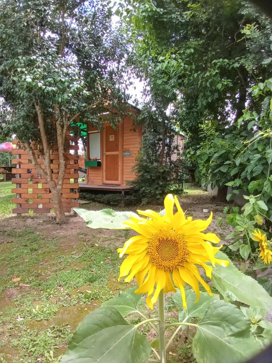Mini House Park