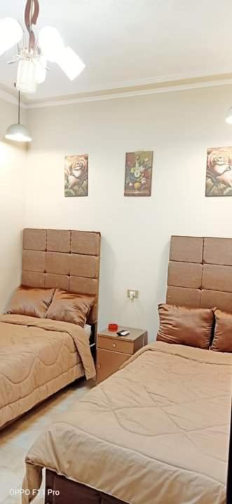 grand agata hostel