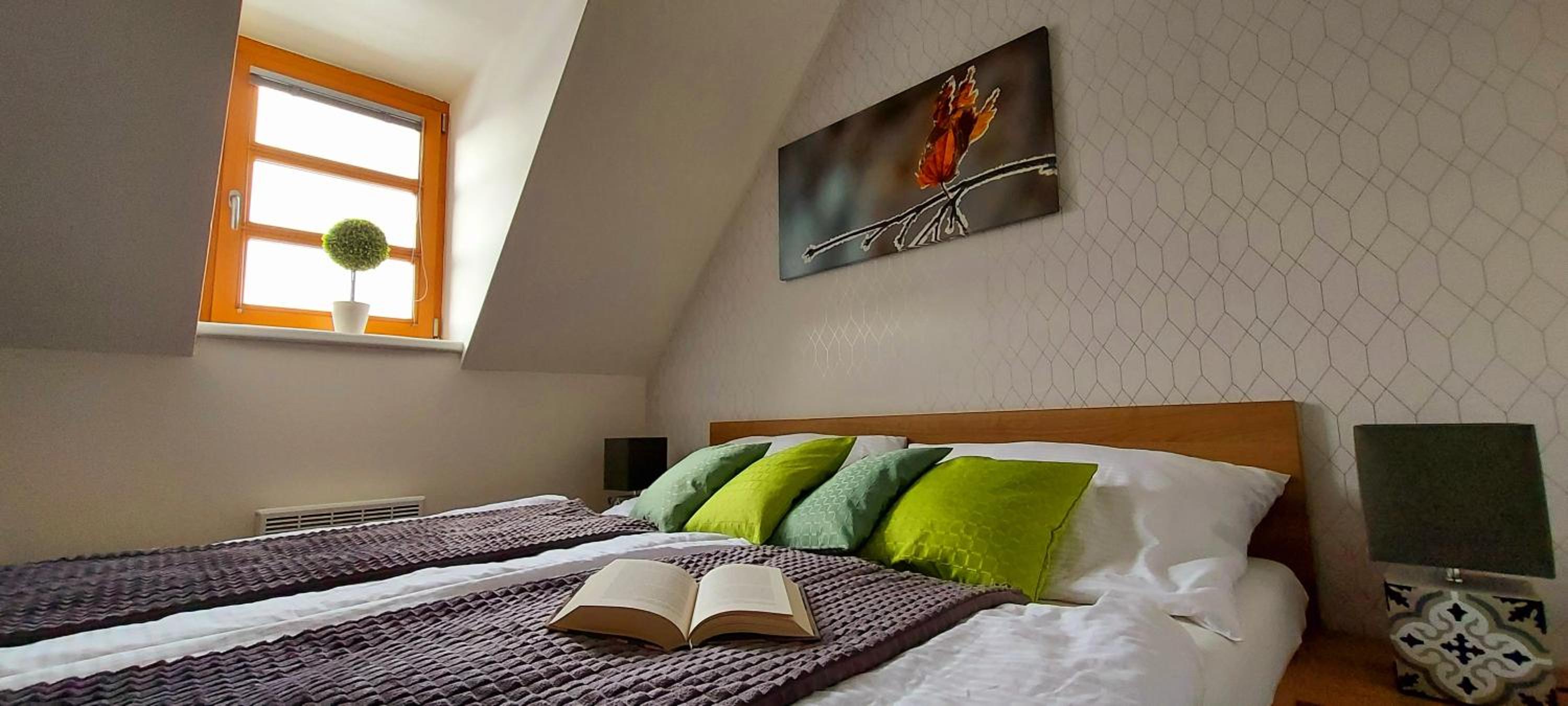 Wellness apartmány Říčky v Orlických horách