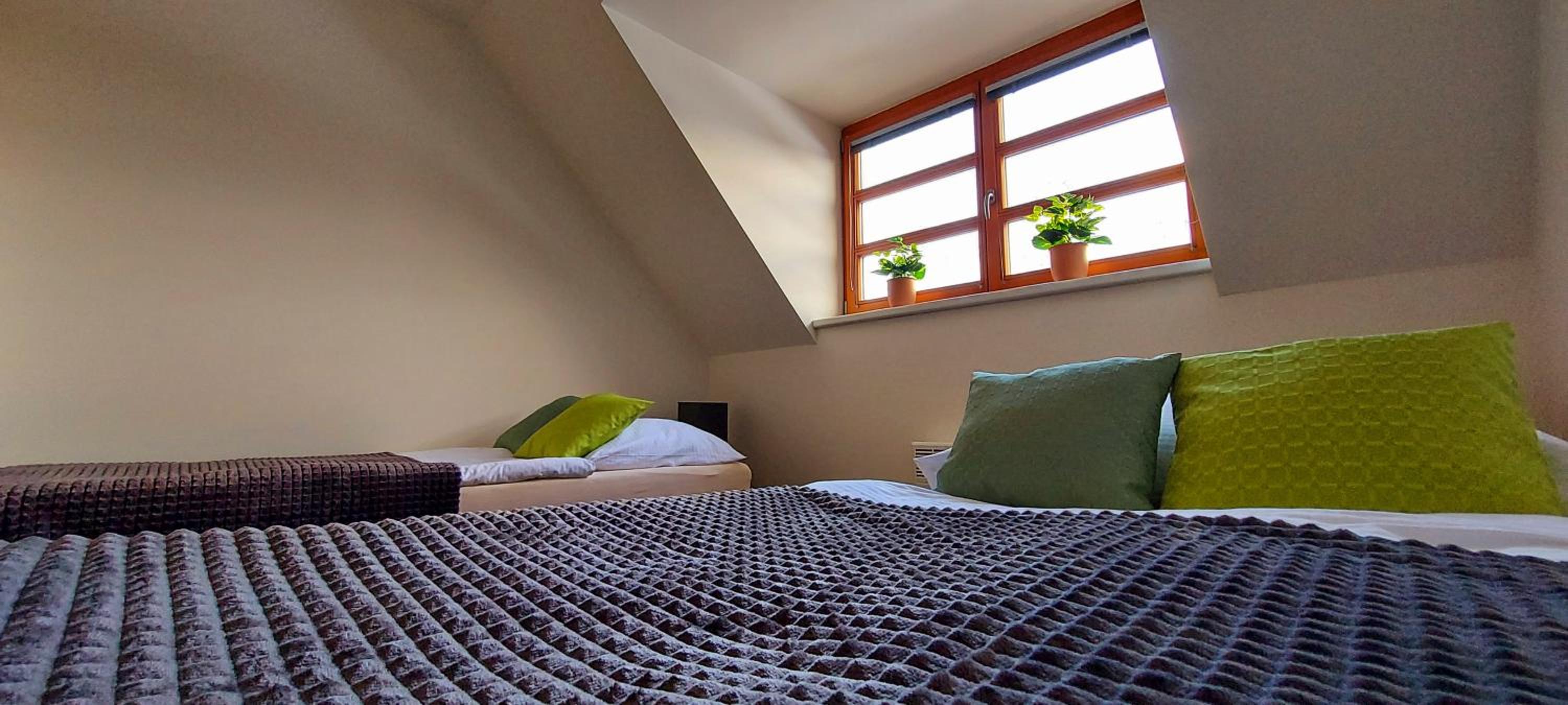 Wellness apartmány Říčky v Orlických horách