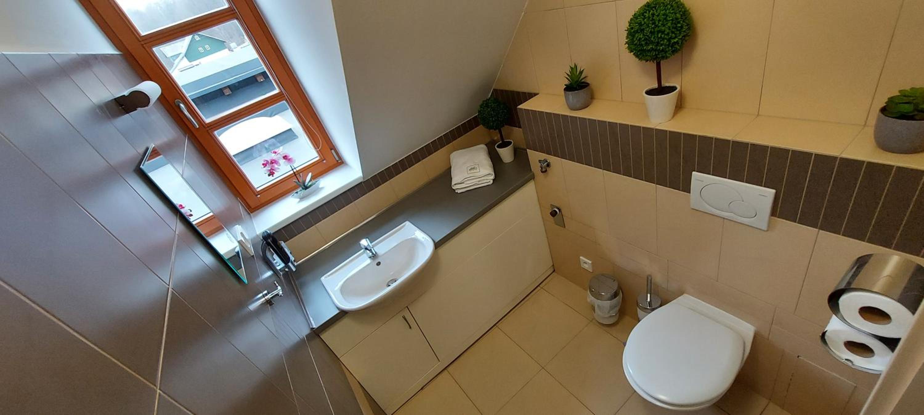 Wellness apartmány Říčky v Orlických horách