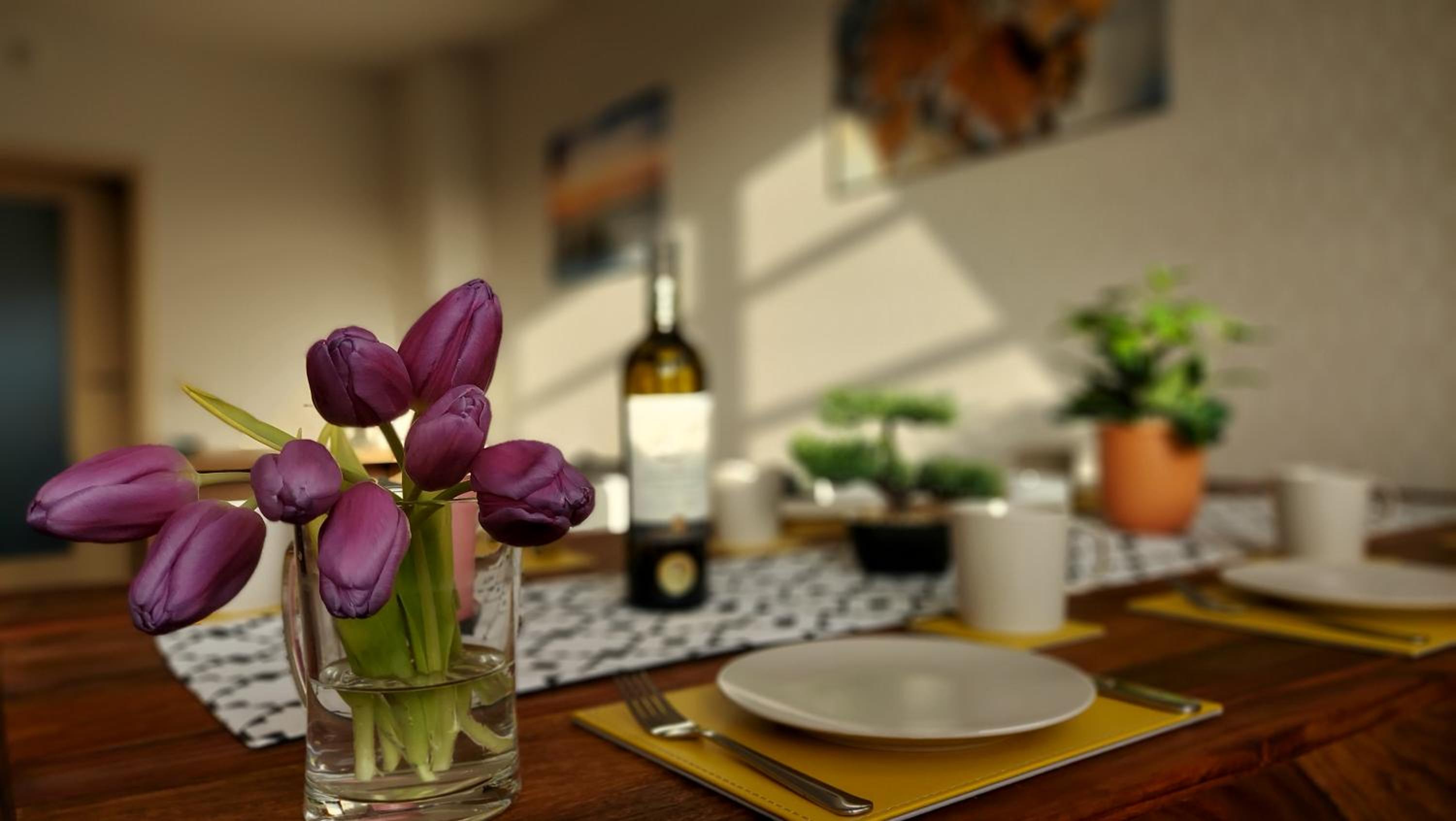 Wellness apartmány Říčky v Orlických horách