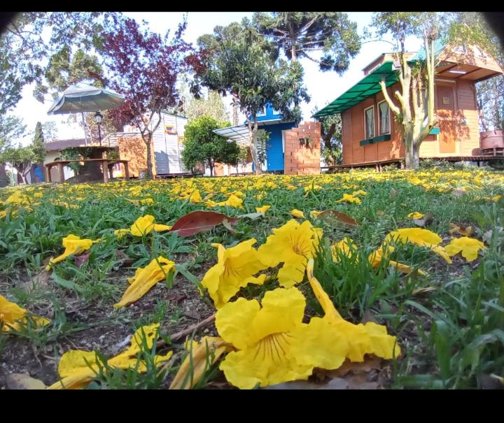 Mini House Park