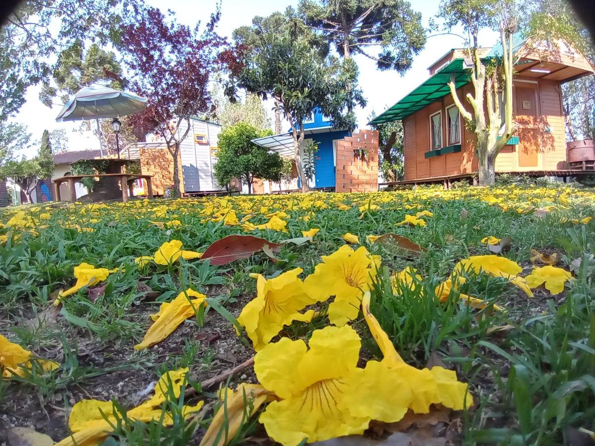 Mini House Park