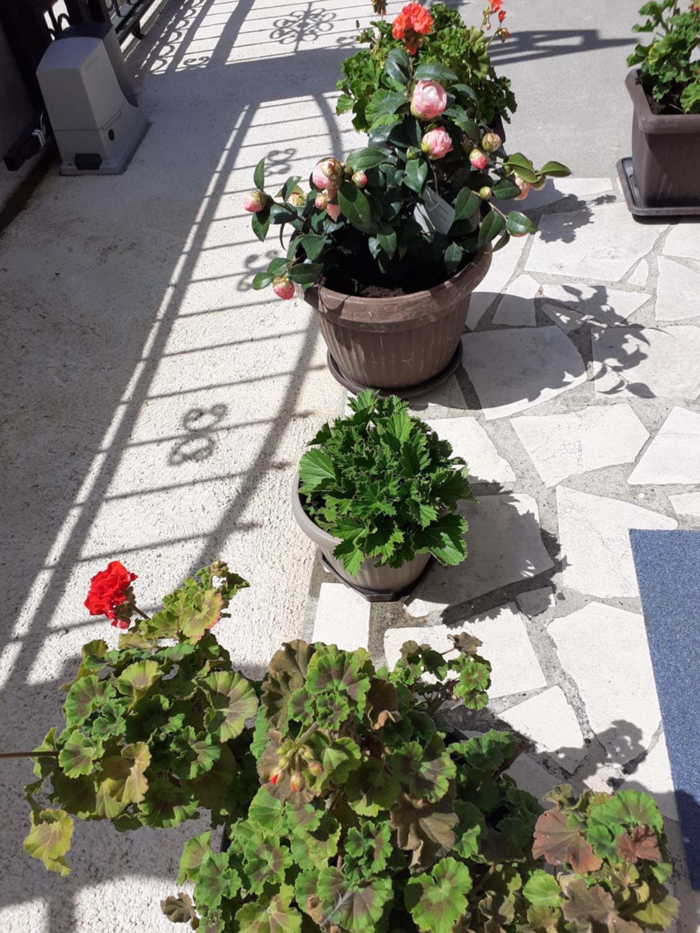 Photo 32