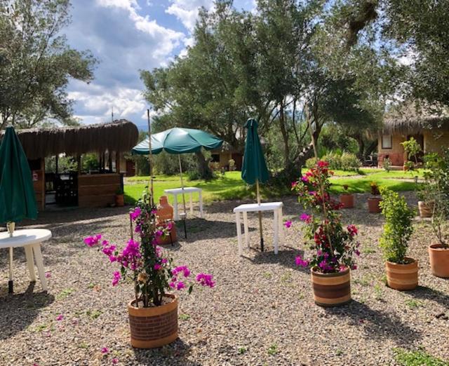 Habitaciones Luna Campestre