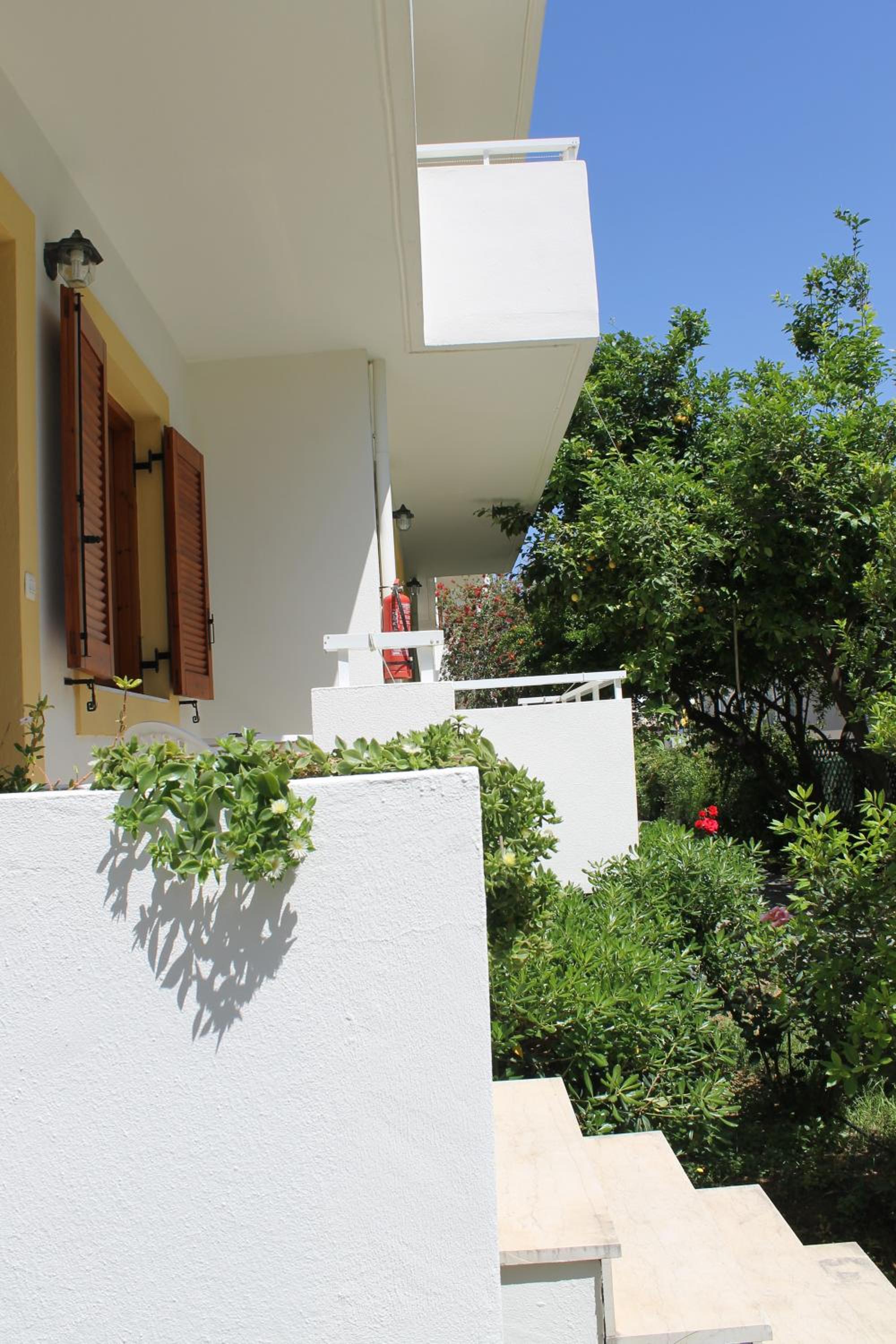 Photo 20