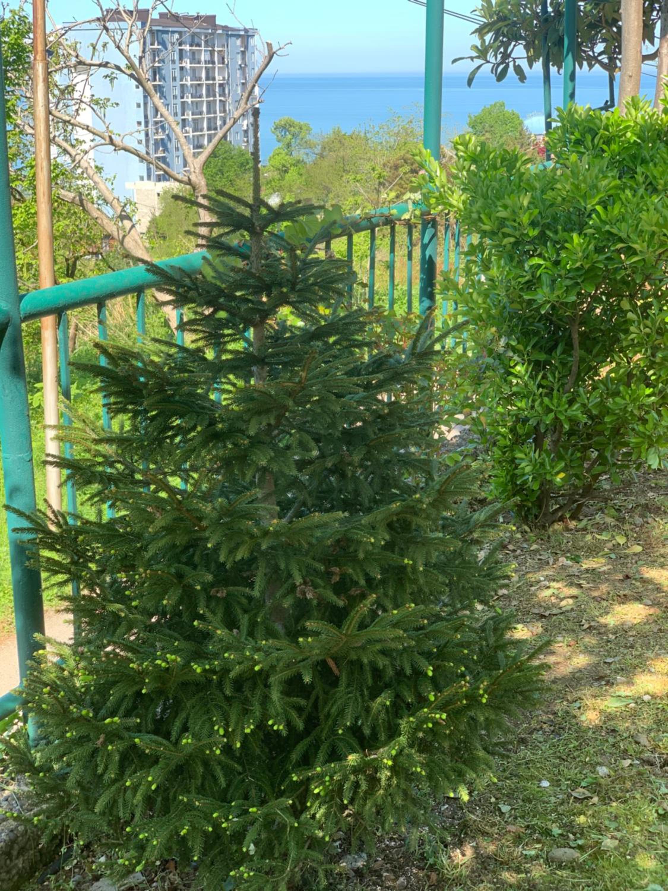 Eco House view 5