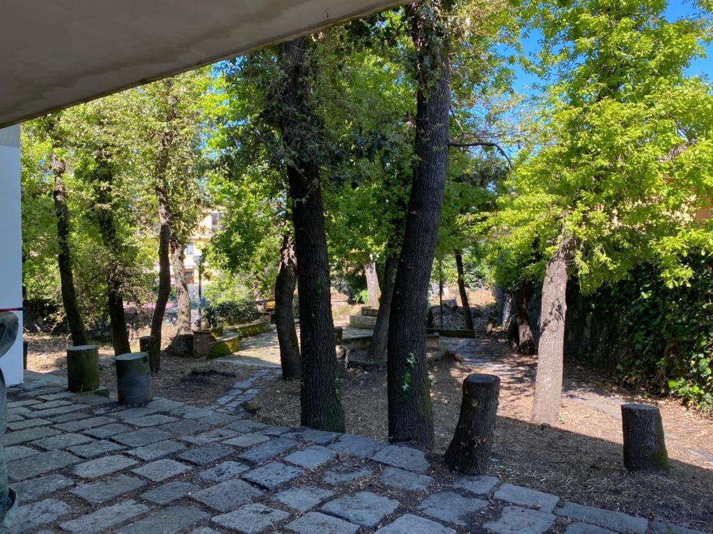 La casa nel bosco photo 5