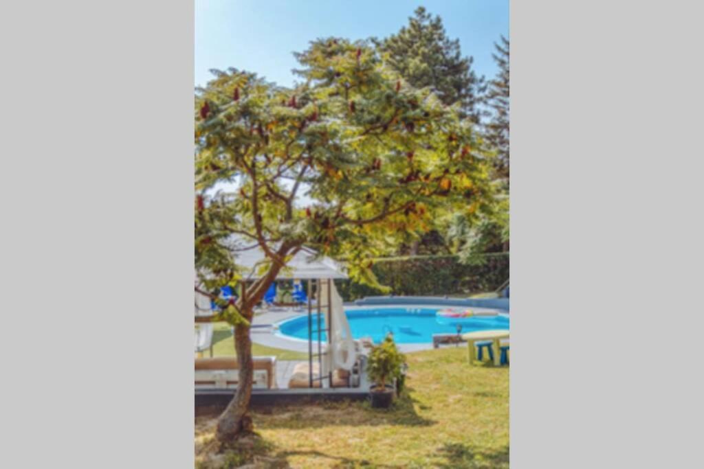 Luxury Riverside Villa with Private Pool, Sauna and BBQ, 12 Guests view 4