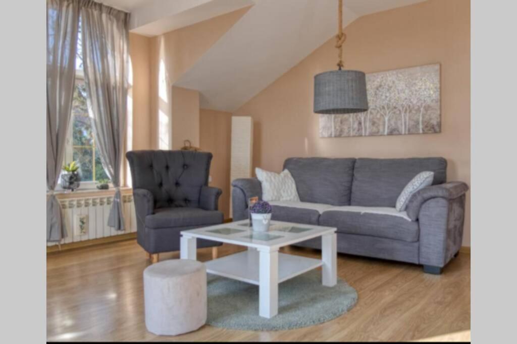 Luxury Riverside Villa with Private Pool, Sauna and BBQ, 12 Guests view 5