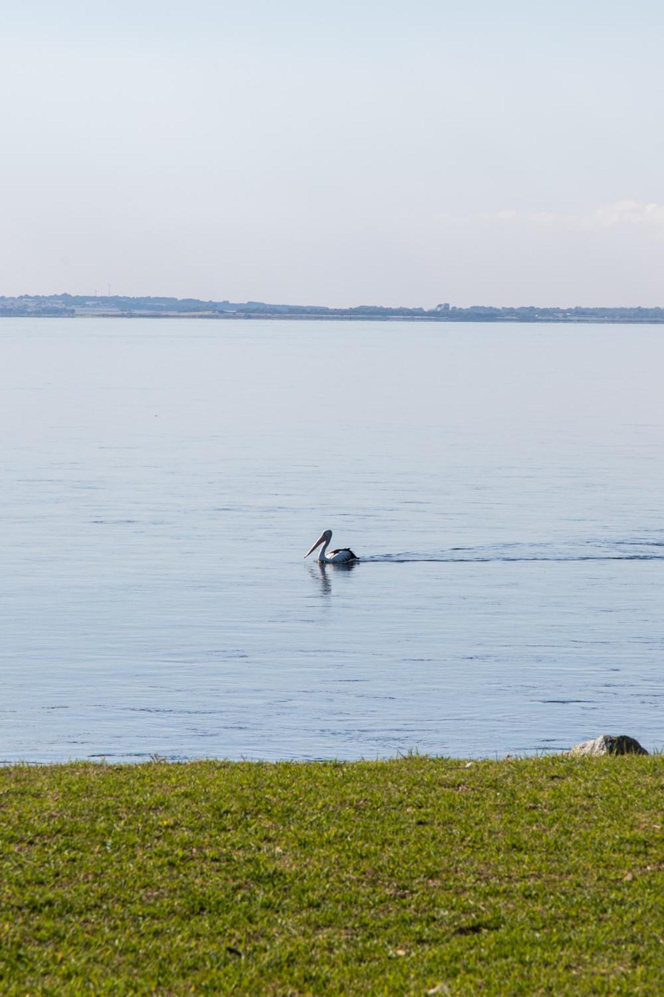 Relax in San Remo Pets Welcome
