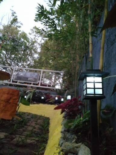 Purple Orchid Bed and Breakfast