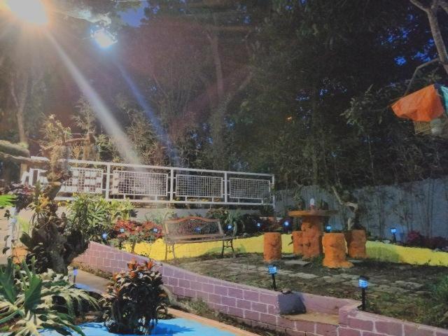 Purple Orchid Bed and Breakfast