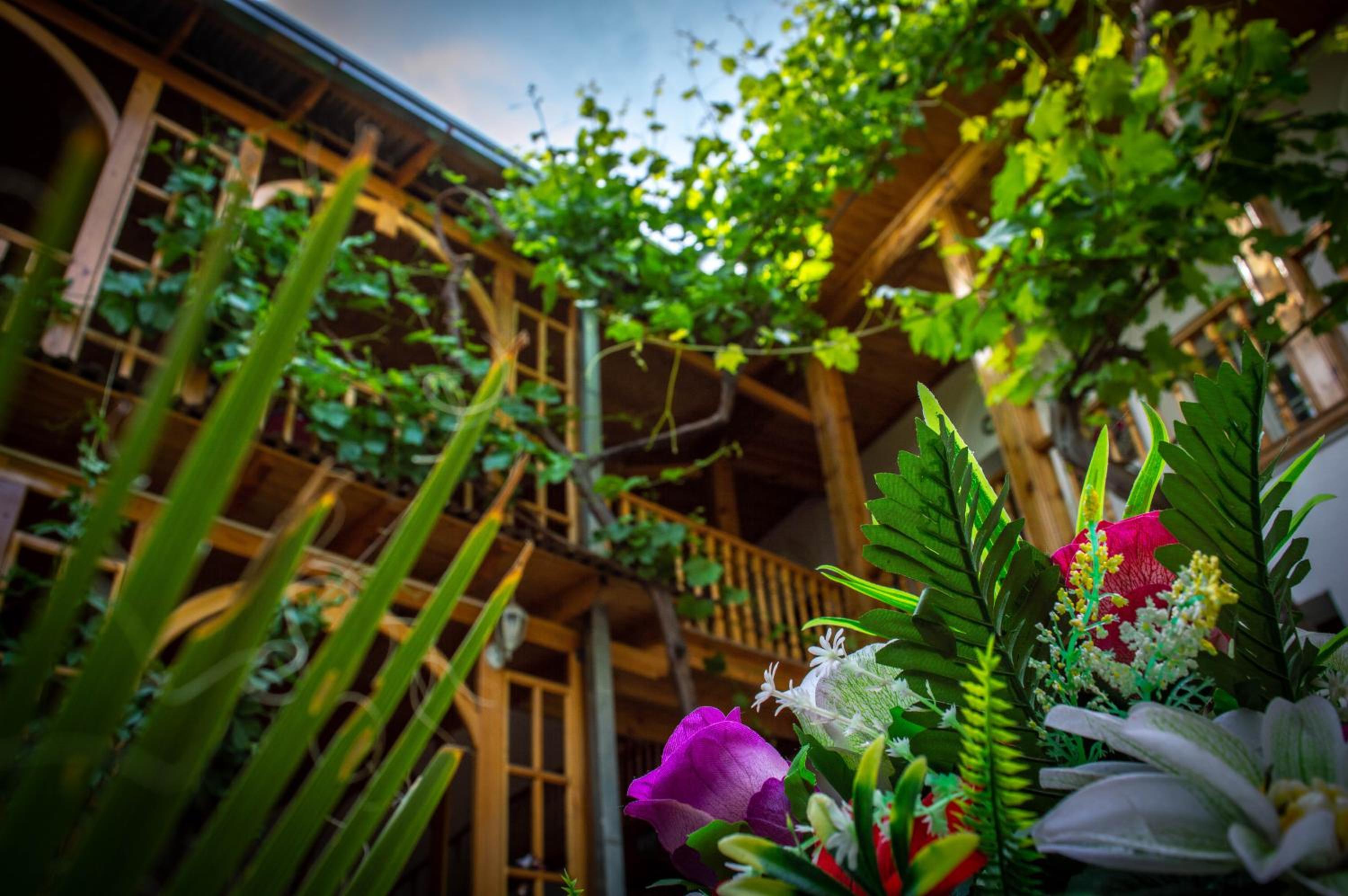 Photo 30