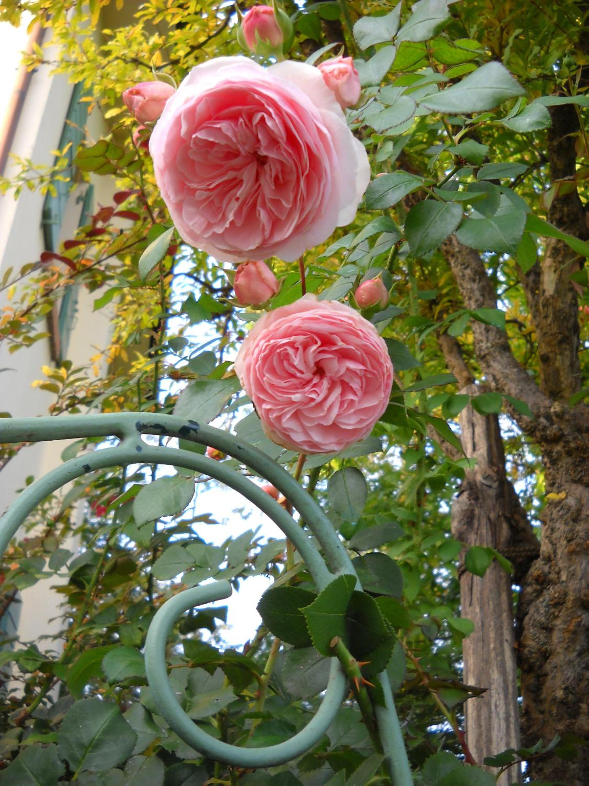 La Casa del Giardiniere