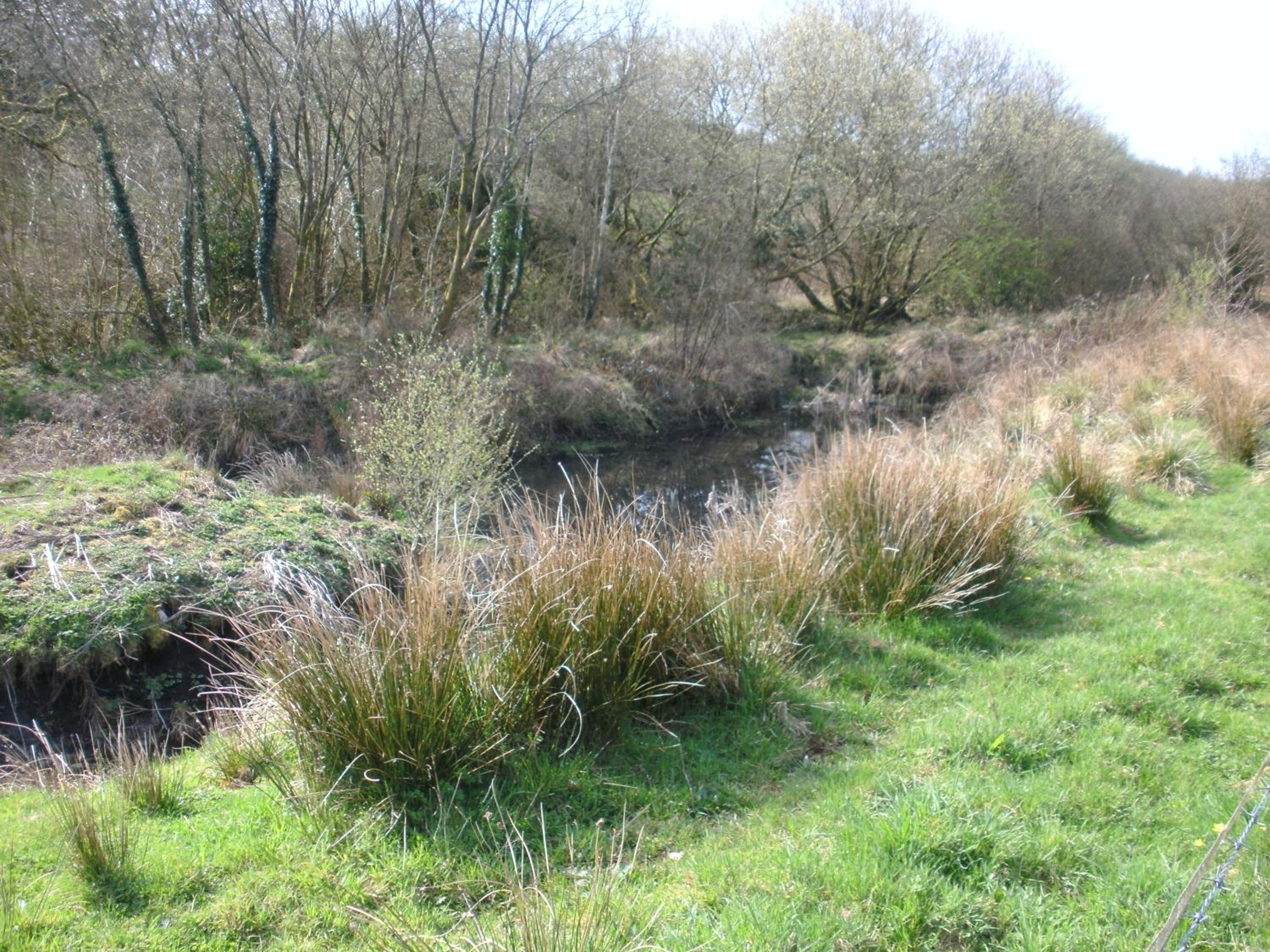 Photo 46