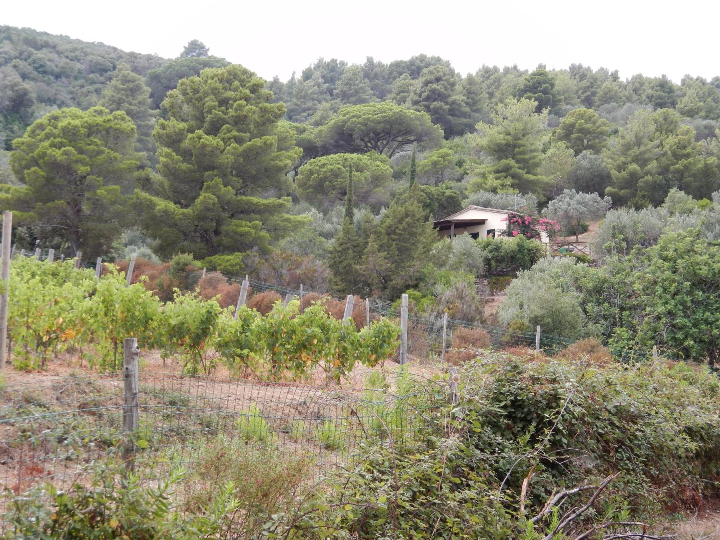 Agriturismo Galenzana