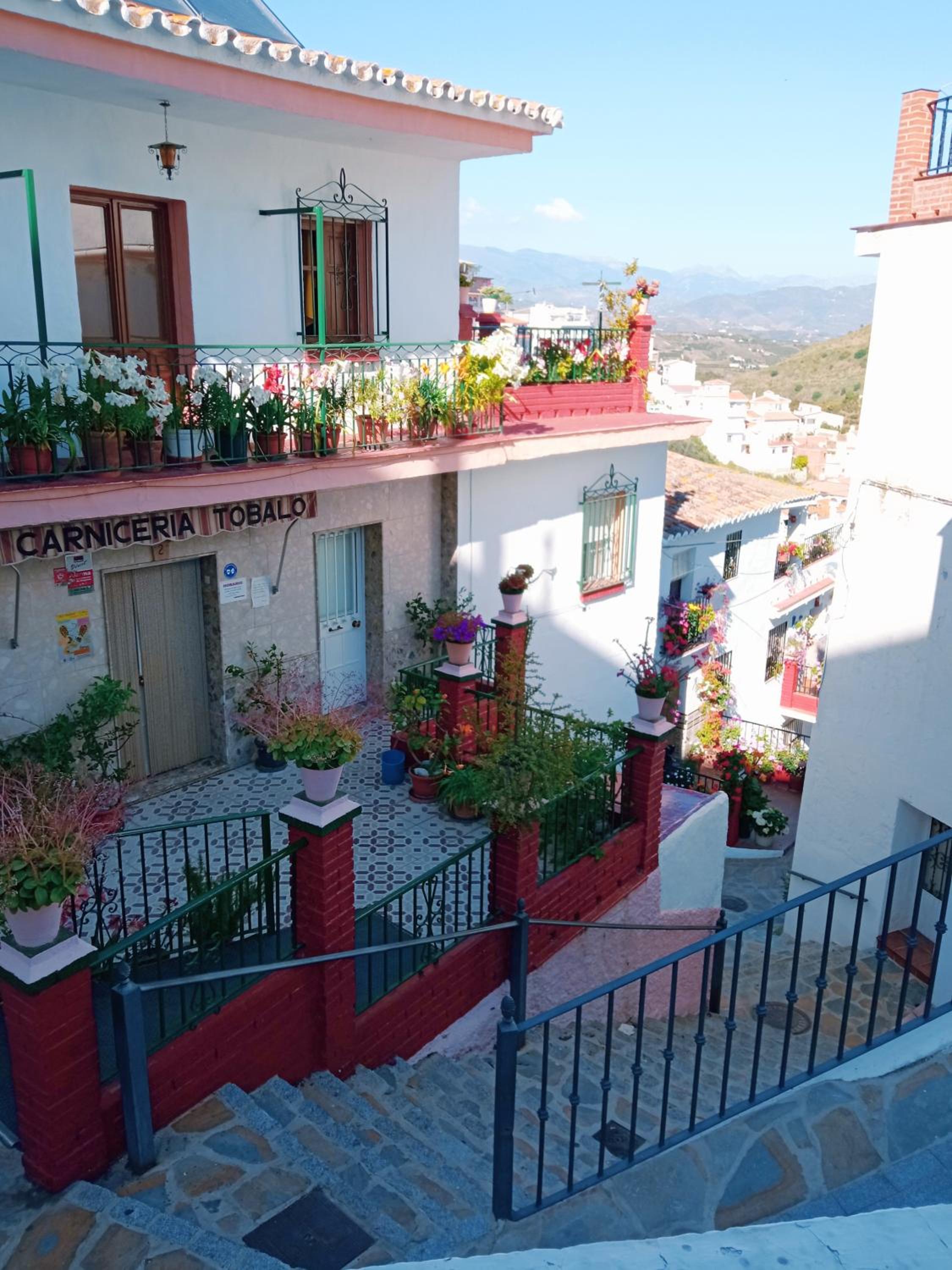 Apartamento buena vista view 5