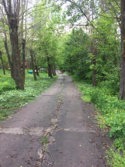 Photo 38