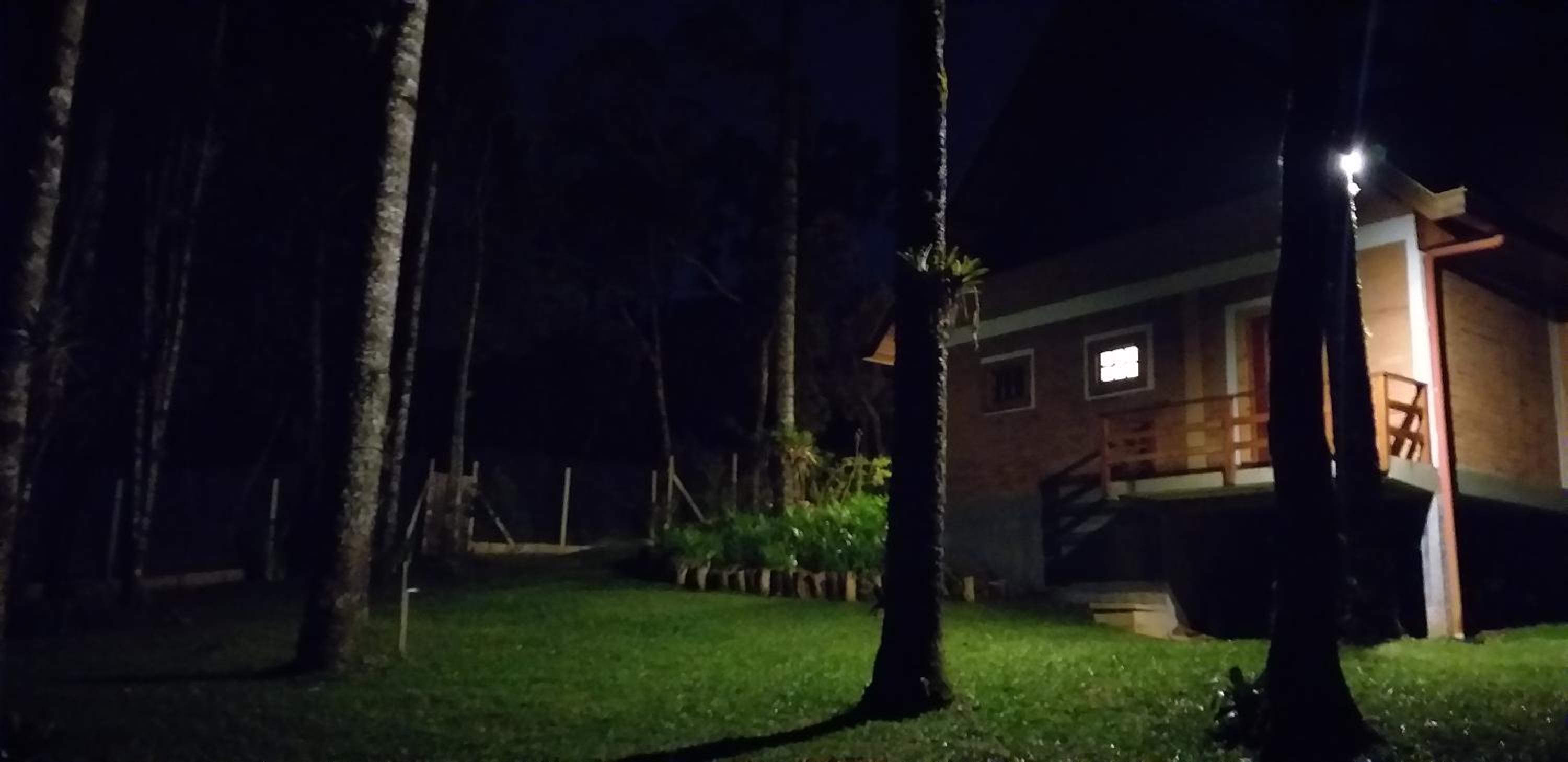Bosque das Araucárias