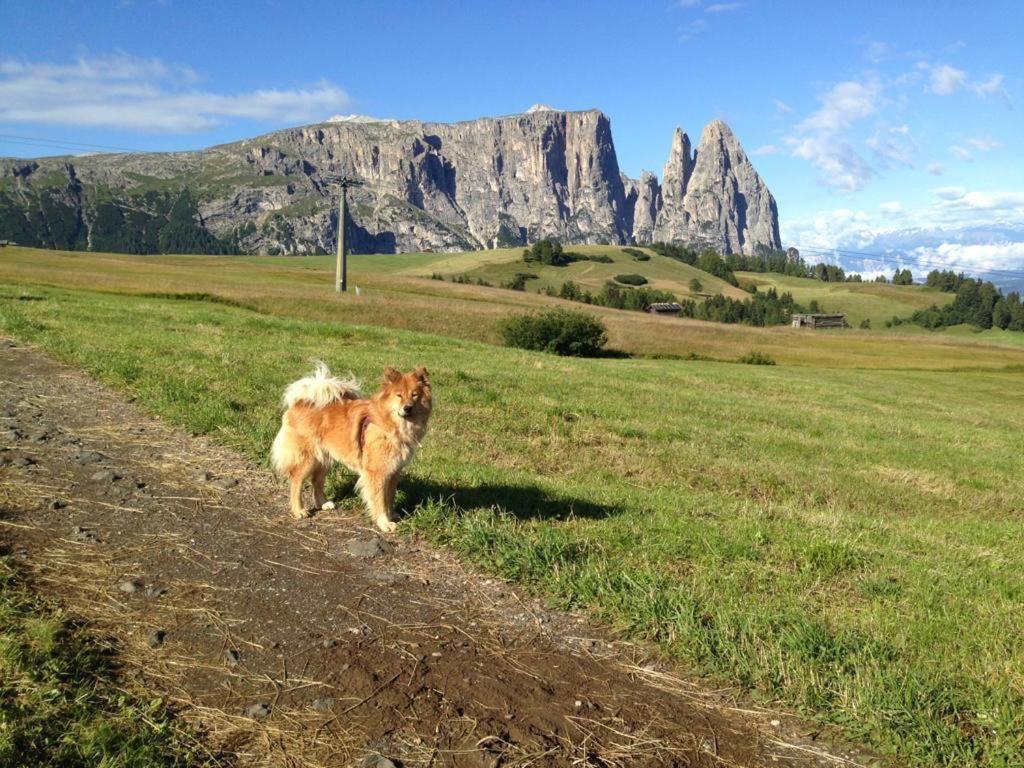 Siusi Sciliar Apartment view 4