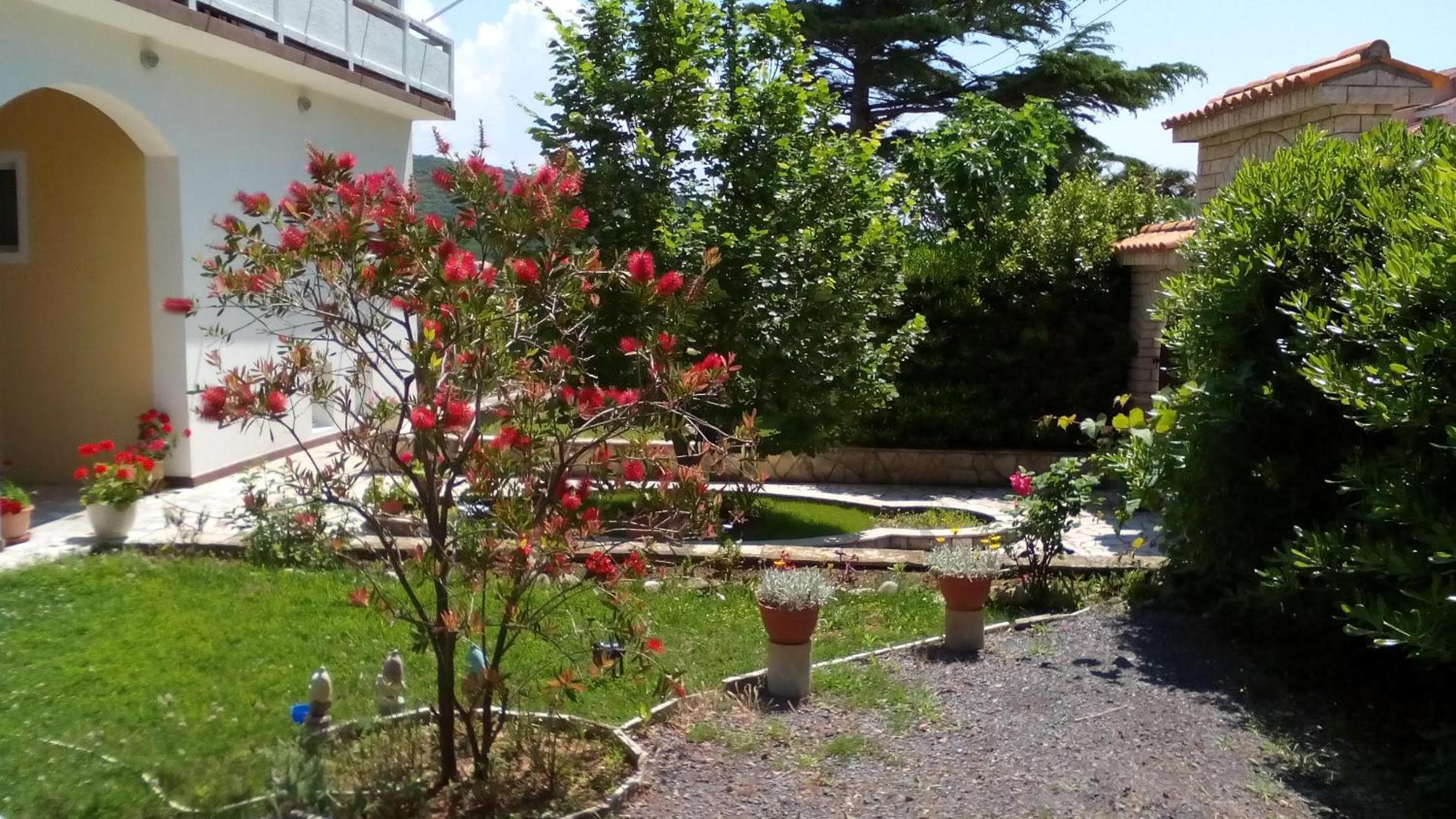 Photo 28