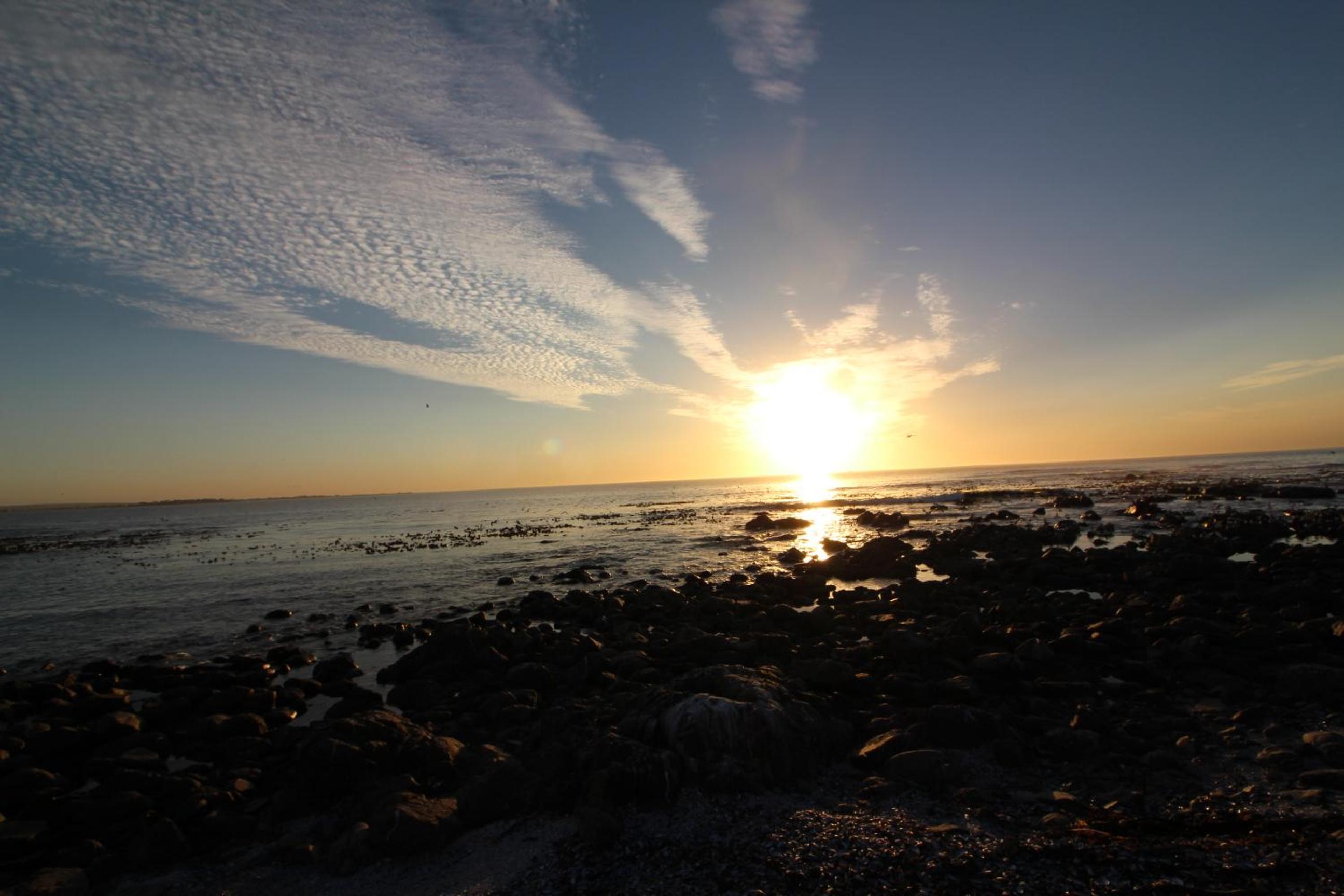 Photo 44