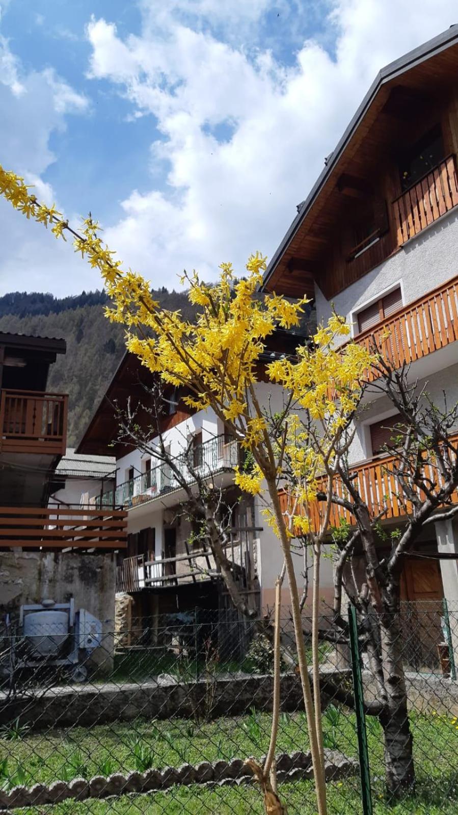 CASA MASCIA view 5