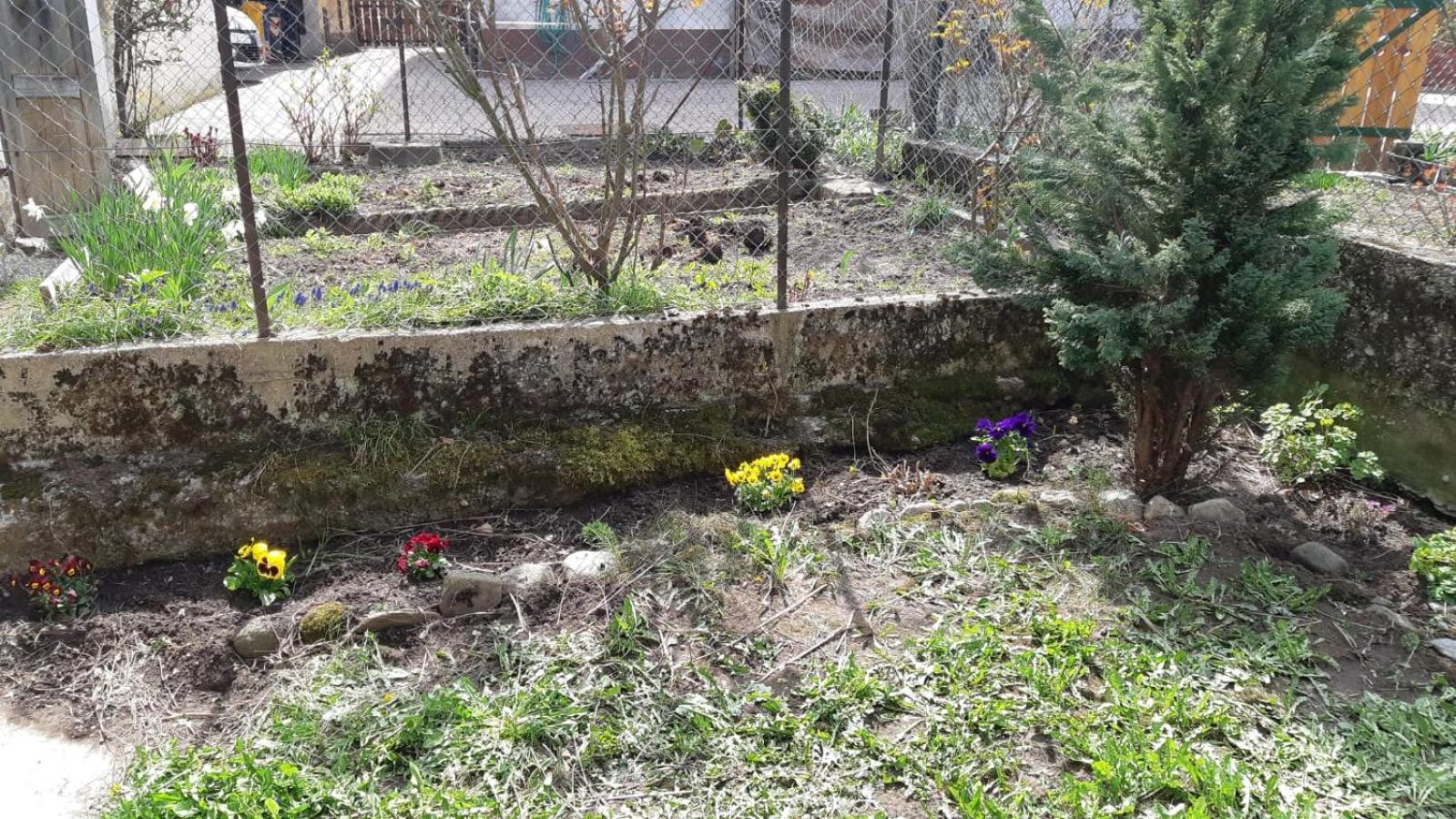 Photo 36