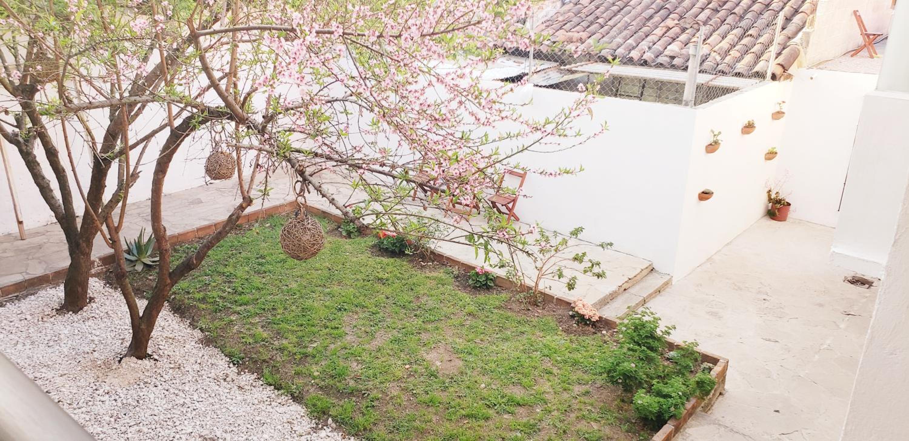 Photo 49