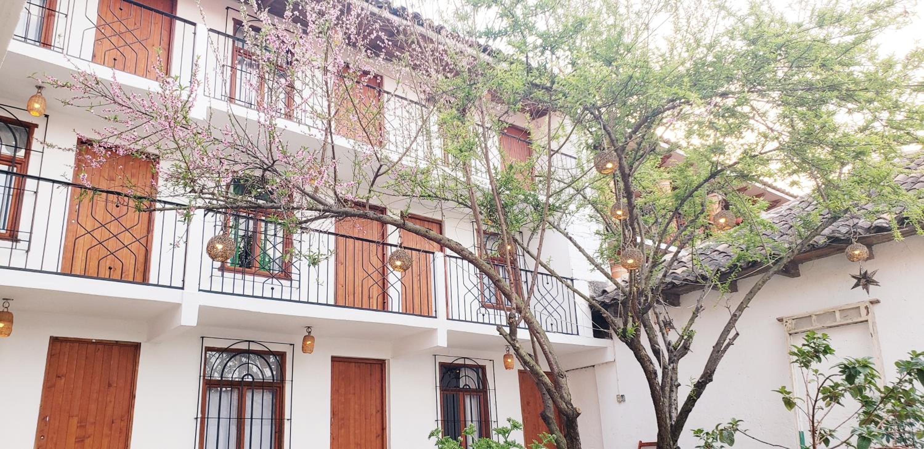 Photo 51
