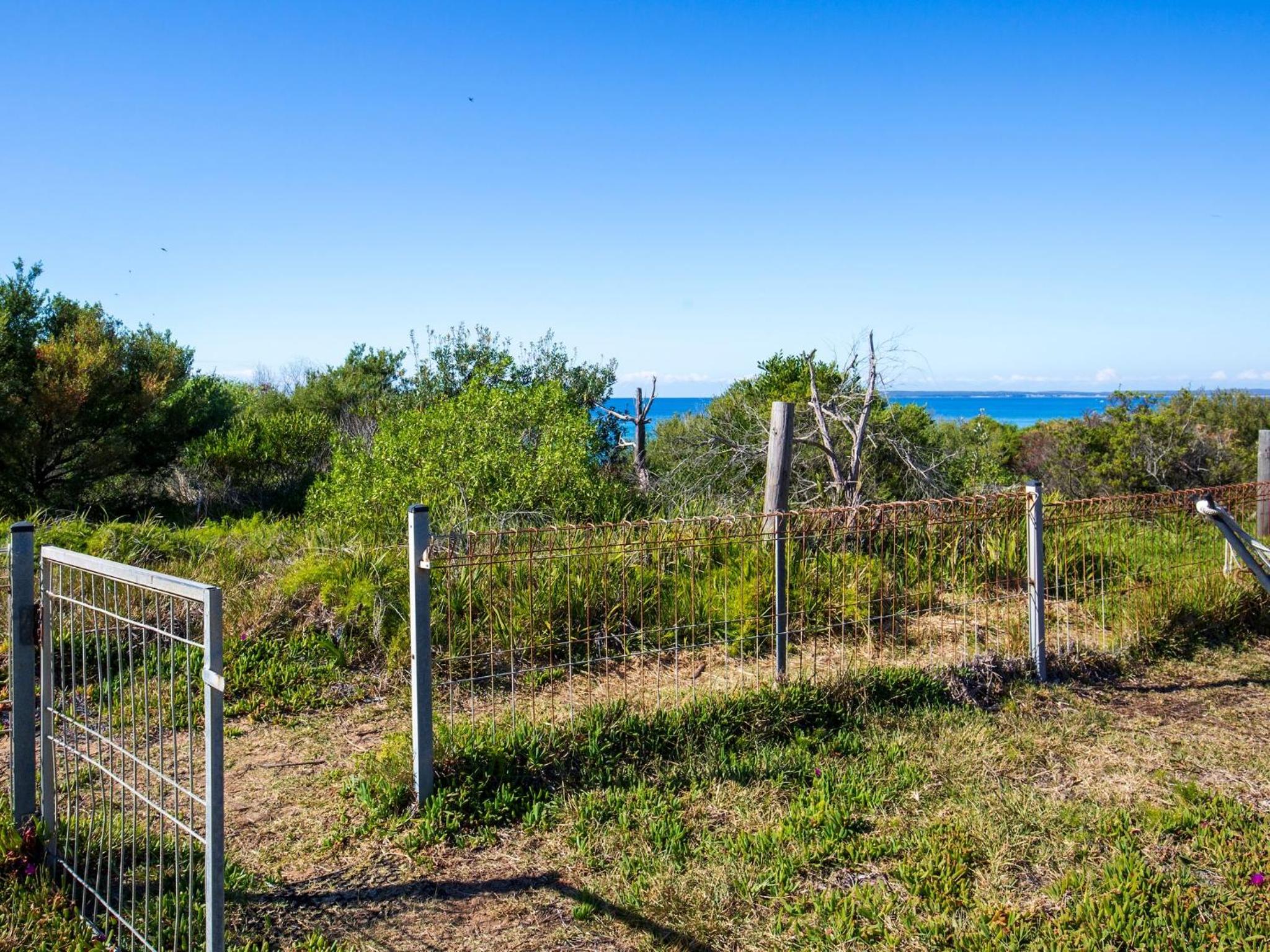 Endless Summer I Pet Friendly Absolute Beachfront