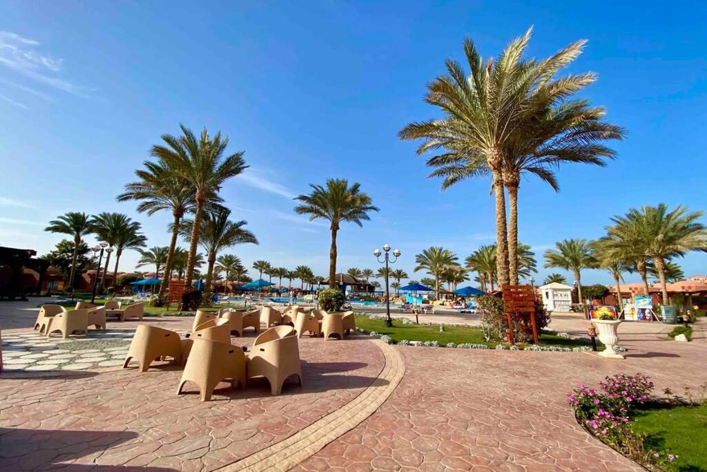 Comfy apt by Sentido Marsa Alam view 4